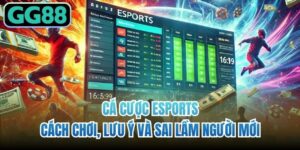 Cược Esports