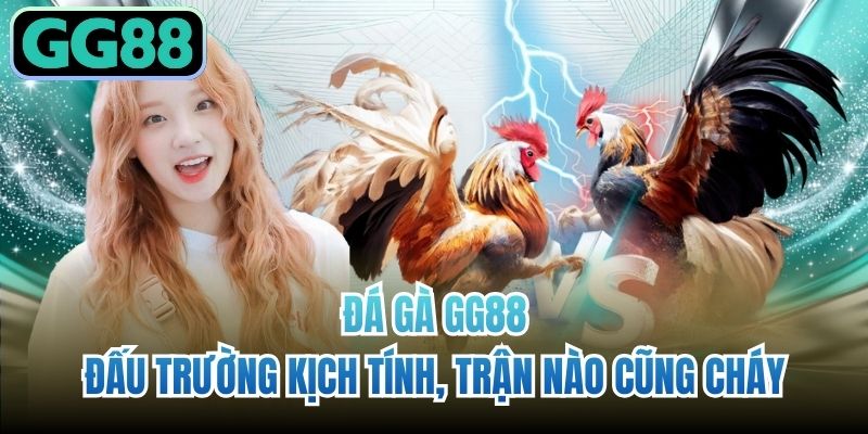 Đá Gà GG88