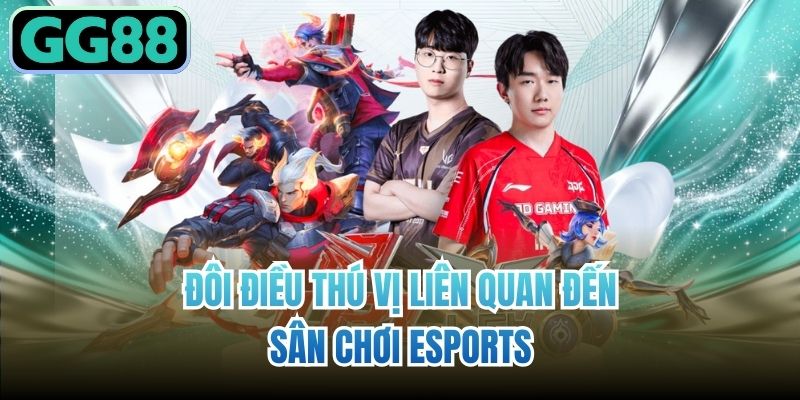 Đôi điều thú vị liên quan đến sân chơi Esports