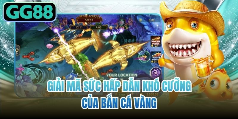 Giải mã sức hấp dẫn khó cưỡng của bắn cá vàng