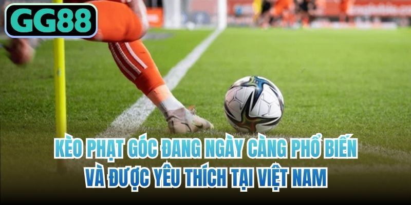 Kèo phạt góc đang ngày càng phổ biến và được yêu thích tại Việt Nam