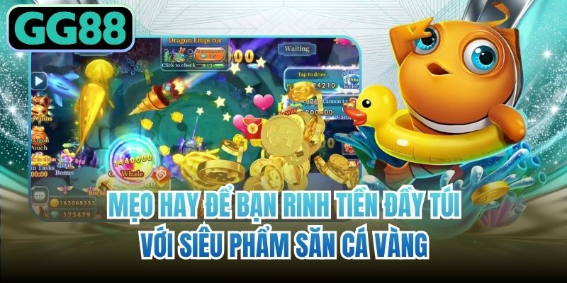 Mẹo hay để bạn rinh tiền đầy túi với siêu phẩm săn cá vàng