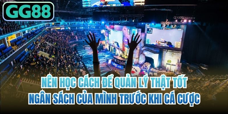 Nên học cách để quản lý thật tốt ngân sách của mình trước khi cá cược