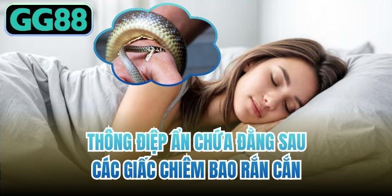Thông điệp ẩn chứa đằng sau các giấc chiêm bao rắn cắn