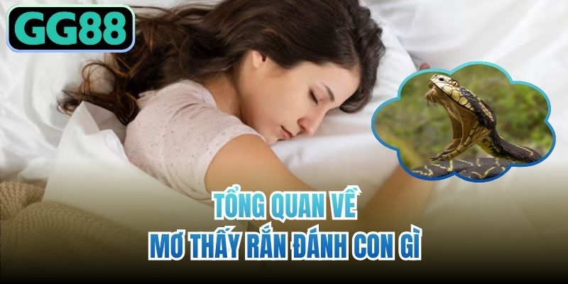 Tổng quan về mơ thấy rắn đánh con gì